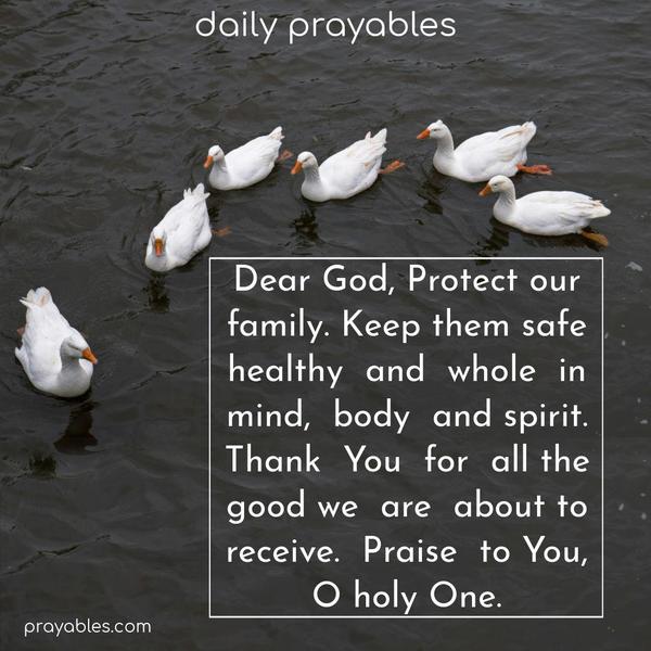 Dear God, Protect our family. Keep them safe, healthy, and whole in mind, body, and spirit. Thank You for all the good we are about to receive. Praise to You, O holy One.