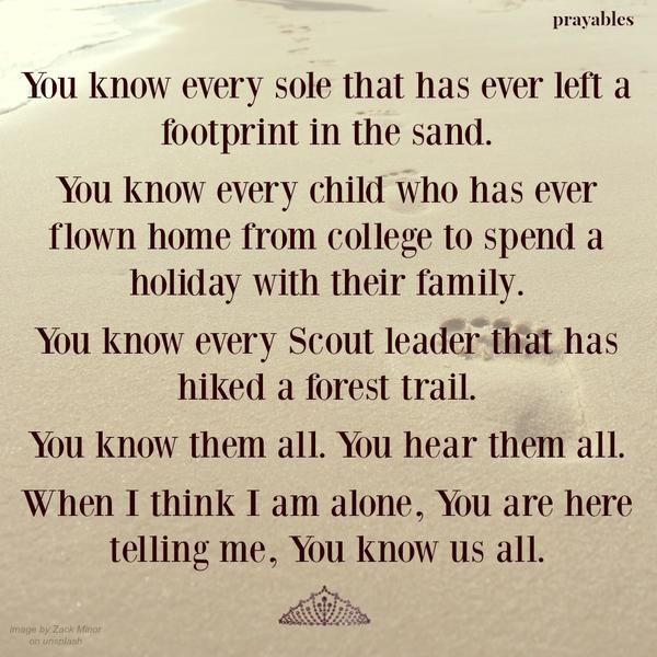 You know every sole that has ever left a footprint in the sand. You know every child who has ever flown home from college to spend a holiday with their family. You know every Scout leader that has hiked a forest trail. You know them
all. You hear them all. When I think I am alone, You are here telling me; “You know us all.”