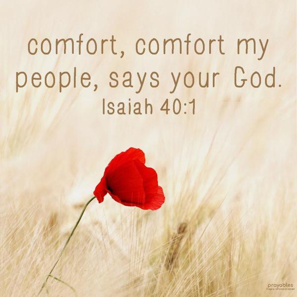 Isaiah 40:1 Comfort, comfort my people, says your God.