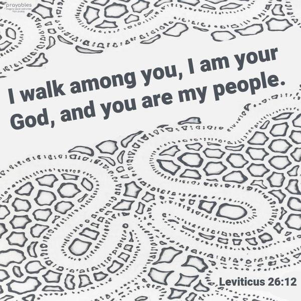 Leviticus 26:12 I walk among you, I am your God, and you are my people.