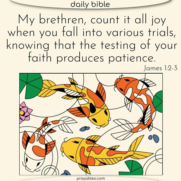 My brethren, count it all joy when you fall into various trials, knowing that the testing of your faith produces patience. James 1:2-3