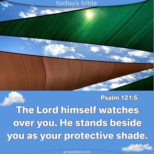 Psalm 121:5 The Lord himself watches over you. He stands beside you as your protective shade.