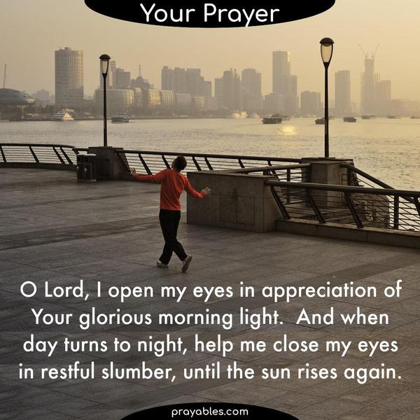 O Lord, I open my eyes in appreciation of Your glorious morning light.  And when day turns to night, help me close my eyes in restful slumber, until the sun rises again.