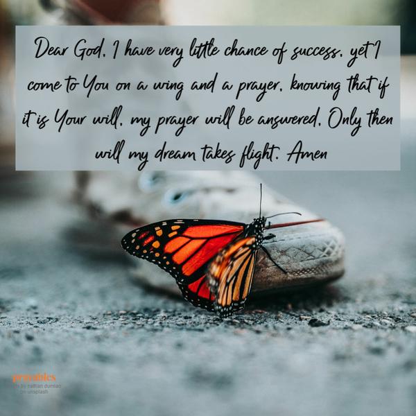 Dear God, I have very little chance of success, yet I come to You on a wing and a prayer, knowing that if it is Your will, my prayer will be answered, Only then will my dream takes flight. Amen