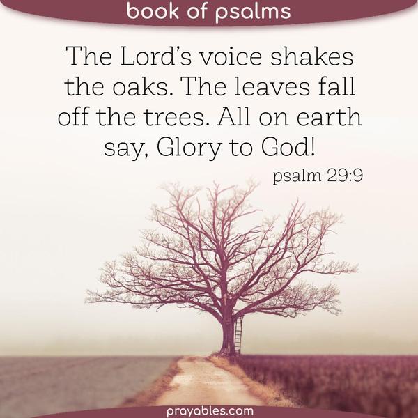 Psalm 29:9 The Lord’s voice shakes the oaks. The leaves fall off the trees. All on earth say, Glory to God!