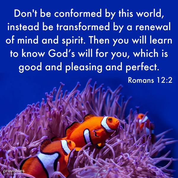 Romans 12:2 Don’t be conformed by this world, instead be transformed by a renewal of mind and spirit. Then you will learn to know God’s will for you, which is good and pleasing and
perfect.