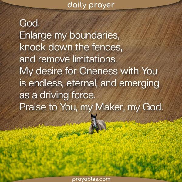 God. Enlarge my boundaries, knock down the fences, and remove limitations. My desire for Oneness with You is endless, eternal, and emerging as a driving force. Praise to You,
my Maker, my God.