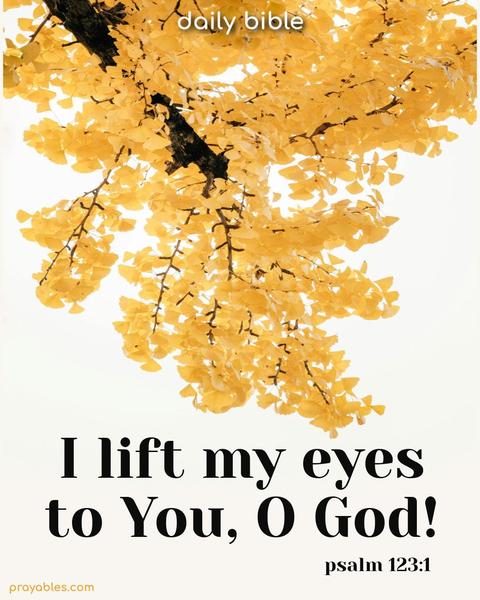 I lift my eyes to You, O God! Psalm 123:1