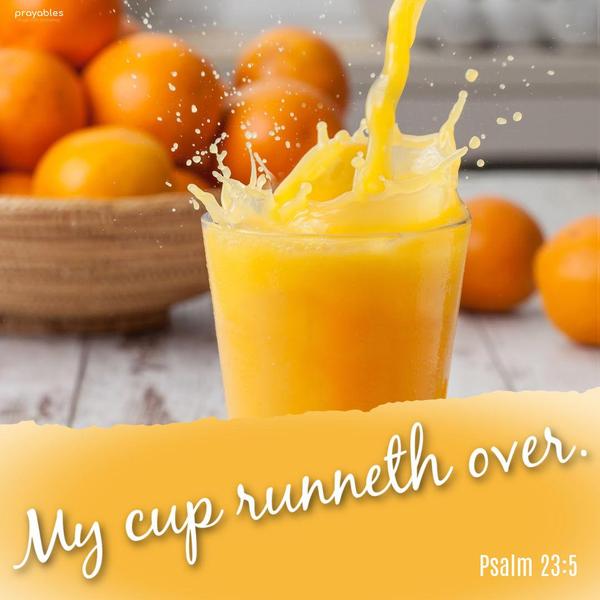 Psalm 23:5 My cup runneth over.