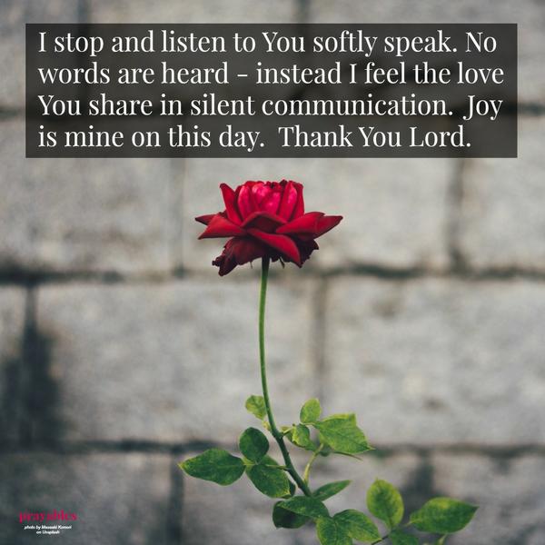 I stop and listen to You softly speak. No words are heard – instead I feel the love You share in silent communication. Joy is mine on this day. Thank You Lord.