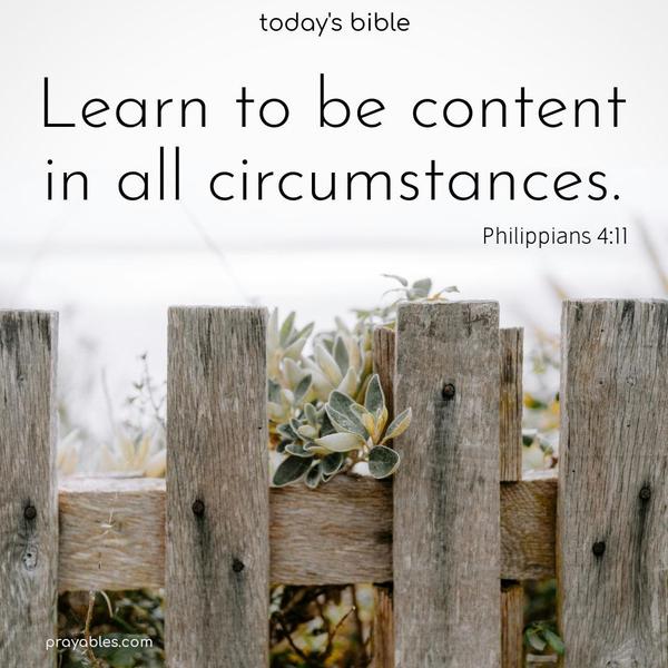 Learn to be content in all circumstances. Philippians 4:11