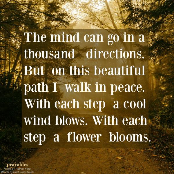 The mind can go in a thousand   directions. But  on this beautiful path I  walk in peace. With each step  a cool wind blows. With each step  a  flower  blooms.