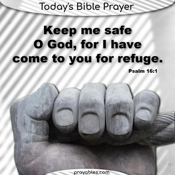 Psalm 16:1 Keep me safe, O God, for I have come to you for refuge.