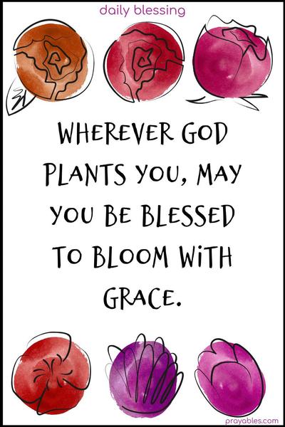 Wherever God plants you, may you be blessed to bloom with grace.