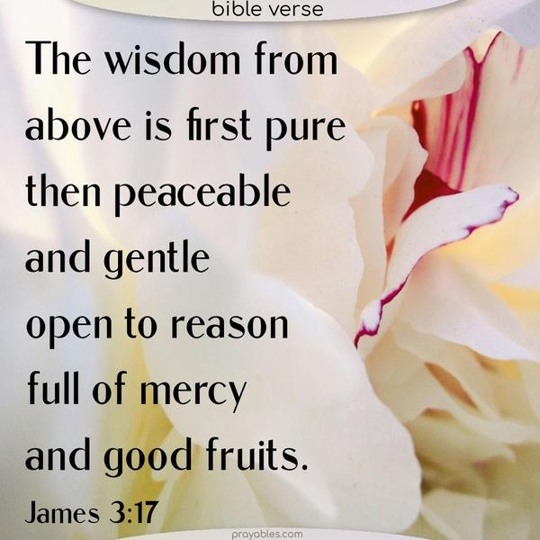 James 3:17 The wisdom from above is first pure, then peaceable, gentle, open to reason, full of mercy and good fruits.