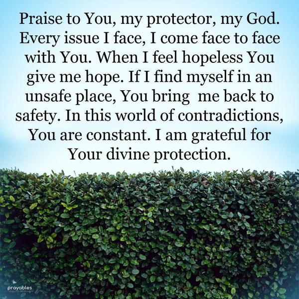 Praise to You, my protector, my God. Every issue I face, I come face to face with You. When I feel hopeless, You give me hope. If I find myself in an
unsafe place, You bring me back to safety. In this world of contradictions, You are constant. I am grateful for Your divine protection.