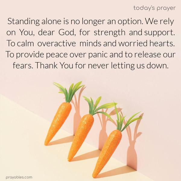 Standing alone is no longer an option. We rely on You, dear God, for strength and support. To calm overactive minds and worried hearts. To provide peace over panic and to release our fears. Thank You for never letting us down.