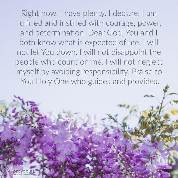 Right now, I have plenty. I declare: I am fulfilled and instilled with courage, power, and determination. Dear God, You and I both know what is expected of me. I will not let You down. I
will not disappoint the people who count on me. I will not neglect myself by avoiding responsibility. Praise to You Holy One who guides and provides.