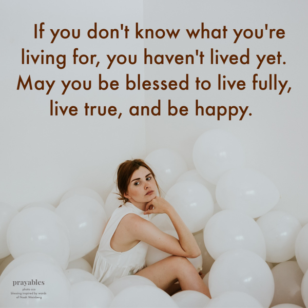 If you don’t know what you’re living for, you haven’t lived yet. May you be blessed to live fully, live true, and be happy.  – Rabbi Noah Weinberg (inspired)