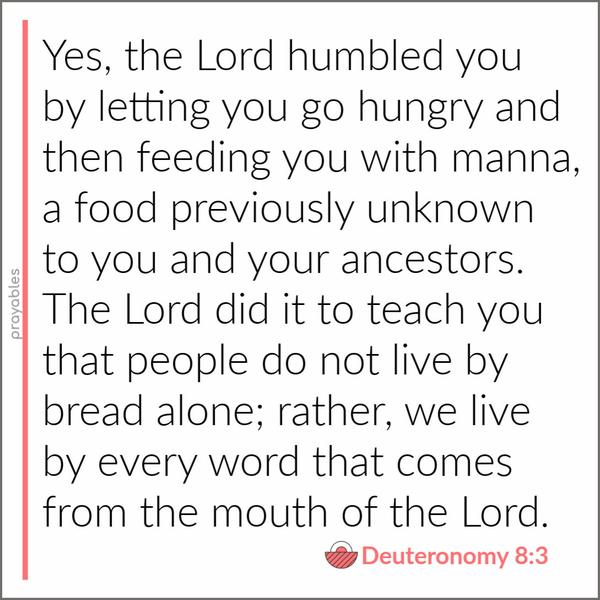 Deuteronomy 8:3 Yes, the Lord humbled you by letting you go hungry and then feeding you with manna,a food previously unknown to you and your ancestors. The Lord did it to
teach you that people do not live by bread alone; rather, we live by every word that comes from the mouth of the Lord.