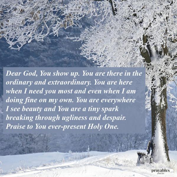 Dear God, You show up. You are there in the ordinary and extraordinary. You are here when I need you most and even when I am doing fine on my own. You are everywhere I see
beauty and You are a tiny spark breaking through ugliness and despair. Praise to You ever-present Holy One.