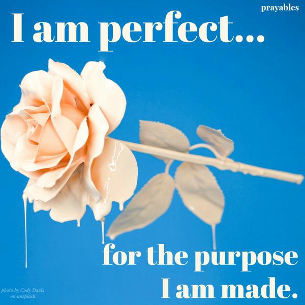 http://prayables.org/affirmation-perfect-purpose-82817/