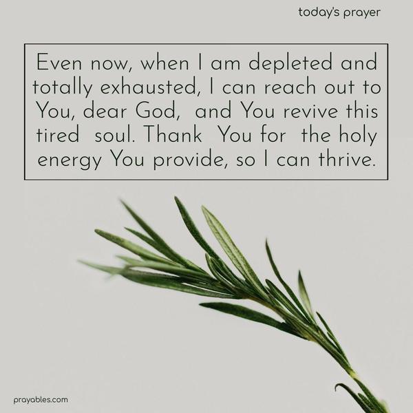 Even now, when I am depleted and totally exhausted, I can reach out to You, dear God, and You revive this tired soul. Thank You for the holy energy You provide, so I can thrive.