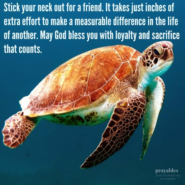 Stick your neck out for a friend. It takes just inches of extra effort to make a measurable difference in the life of another. May God bless you with loyalty and sacrifice that counts.