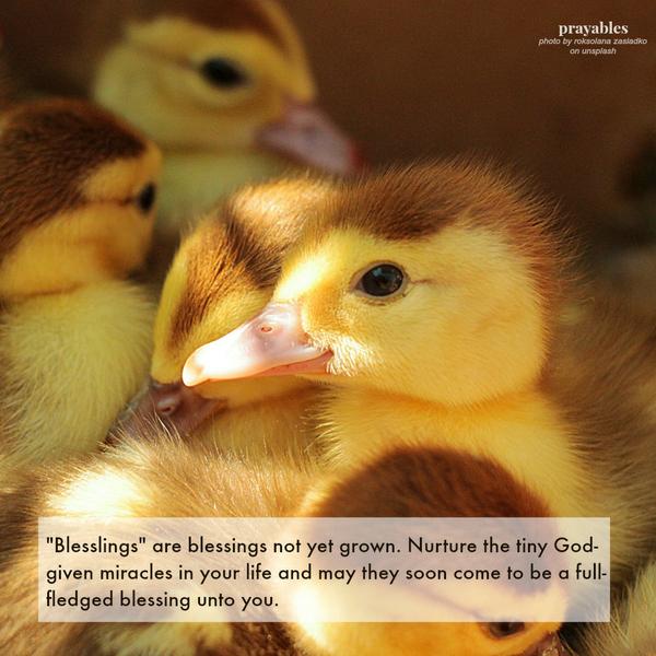 “Blesslings” are blessings not yet grown. Nurture the tiny God-given miracles in your life and may they soon come to be a full-fledged blessing unto you.