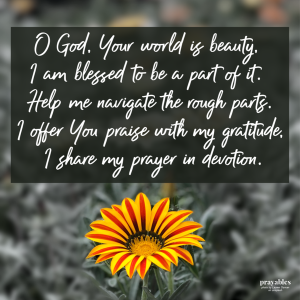 O God, Your world is beauty, I am blessed to be a part of it. Help me navigate the rough parts. I offer You praise with my
gratitude, I share my prayer in devotion.