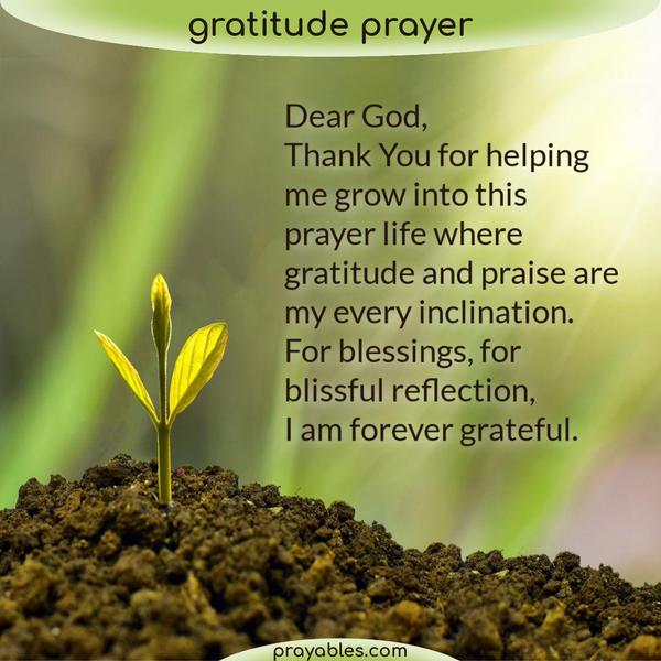 Dear God, Thank You for helping me grow into this prayer life where gratitude and praise are my every inclination. For blessings, for blissful
reflection, I am forever grateful.