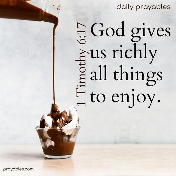 God gives us richly all things to enjoy. 1 Timothy 6:17