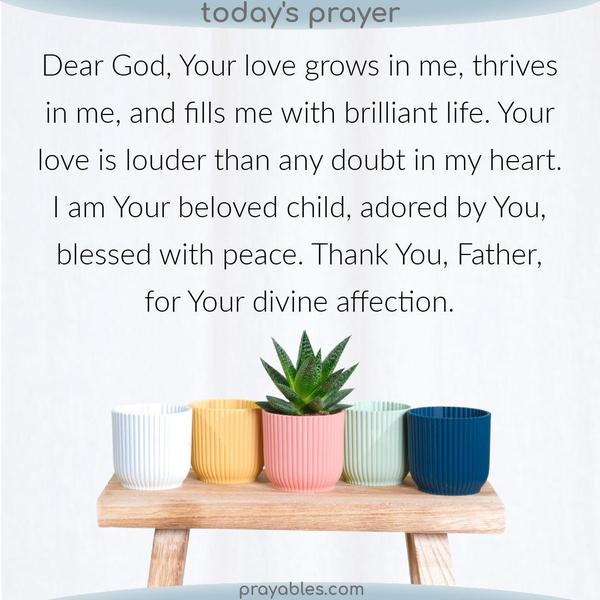 Dear God, Your love grows in me, thrives in me, and fills me with brilliant life. Your love is louder than any doubt in my heart. I am Your beloved child, adored by You,
blessed with peace. Thank You, Father, for Your divine affection.