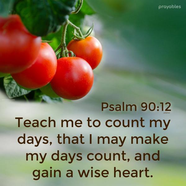 Psalm 90:12 (adapted) Teach me to count my days, that I may make my days count, and gain a wise heart.