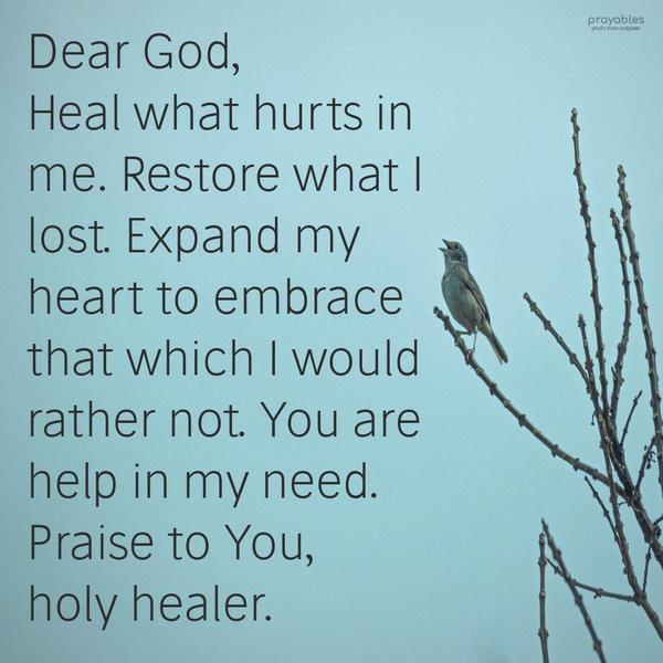 Dear God, Heal what hurts in me. Restore what I have lost. Expand my heart to embrace that which I would rather not. You are help in my need. Praise to You
holy healer.