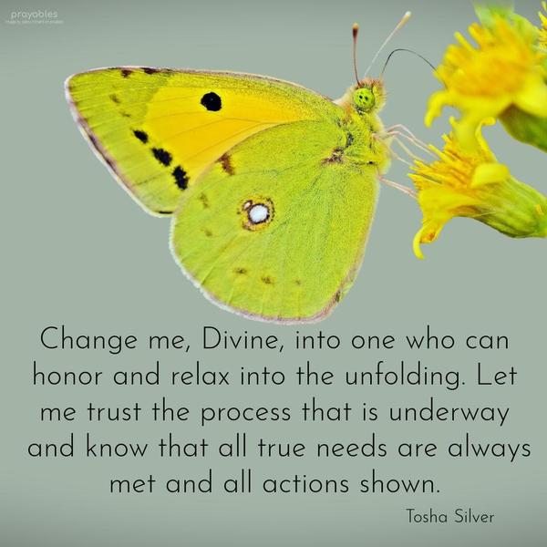 Change me, Divine, into one who can honor and relax into the unfolding. Let me trust the process that is underway and know that all true needs are always met and all actions shown. Tosha
Silver