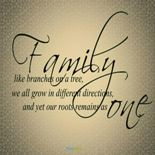 Family Quote