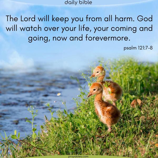 Psalm 121:7-8 The Lord will keep you from all harm. God will watch over your life, your coming and going, now and forevermore.