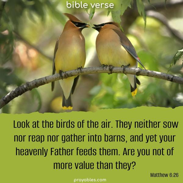 Look at the birds of the air. They neither sow nor reap nor gather into barns, and yet your heavenly Father feeds them. Are you not of more value than they? Matthew 6:26