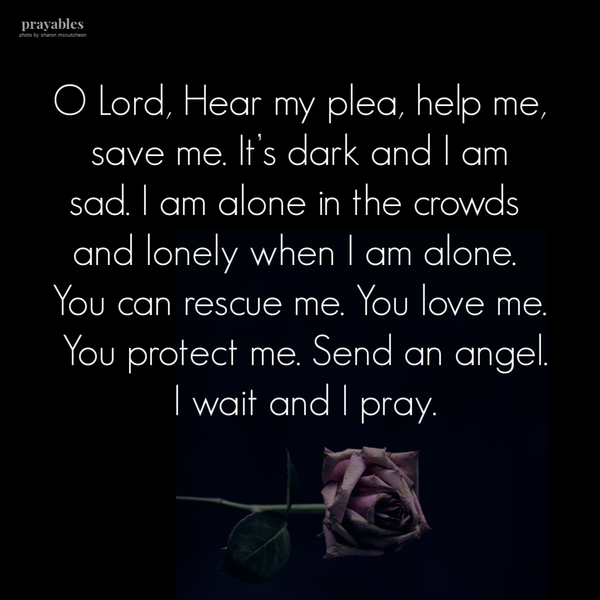 O Lord, Hear my plea, help me, save me. It’s dark and I am sad. I am alone in the crowds and lonely when I am alone. You can rescue me. You love me. You protect me. Send an angel. I wait and I pray.