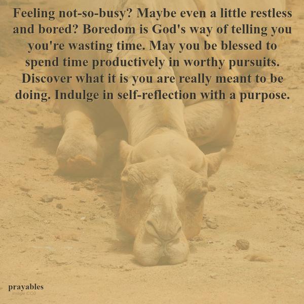 Feeling not-so-busy? Maybe even a little restless and bored? Boredom is God’s way of telling you you’re wasting time. May you be blessed to spend time productively in worthy pursuits. Discover what it is you are really meant to be
doing. Indulge in self-reflection with a purpose.