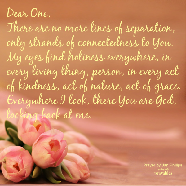 There are no more lines of separation, only strands of connectedness to You. My eyes find holiness everywhere, in every living thing, person, in every act of kindness, act of nature, act of grace. Everywhere I look, there You are God,
looking back at me. -Jan Phillips (adapted