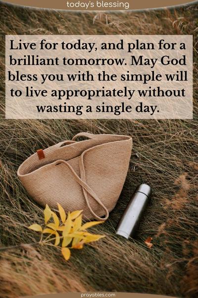 Live for today, and plan for a brilliant tomorrow. May God bless you with the simple will to live appropriately without wasting a single day.