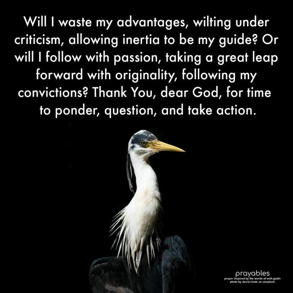 Will I waste my advantages, wilting under criticism, allowing inertia to be my guide? Or will I follow with passion, taking a great leap forward with originality, following my convictions?
Thank You, dear God, for time to ponder, question, and take action.