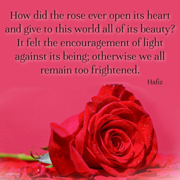 How did the rose ever open its heart and give to this world all of its beauty? It felt the encouragement of light against its being; otherwise, we all remain too frightened. Hafiz