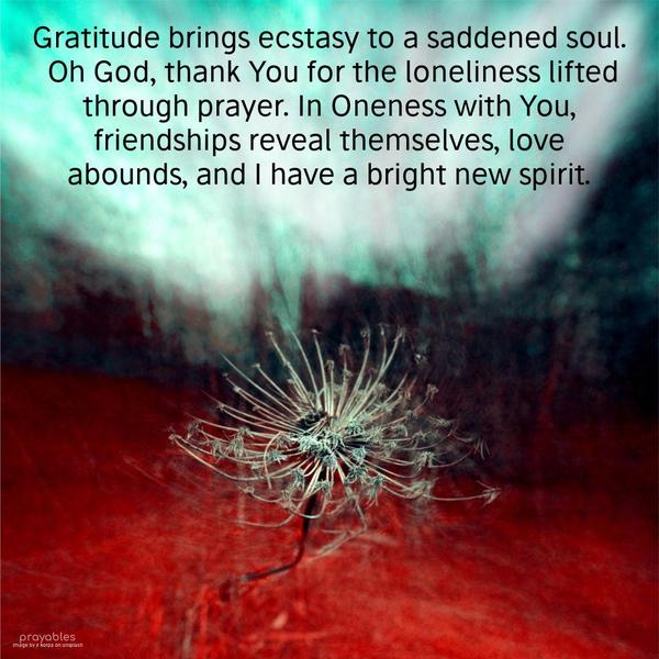 Gratitude brings ecstasy to a saddened soul. Oh God, thank You for the loneliness lifted through prayer. In Oneness with You, friendships reveal themselves, love abounds, and I have a new
bright spirit.