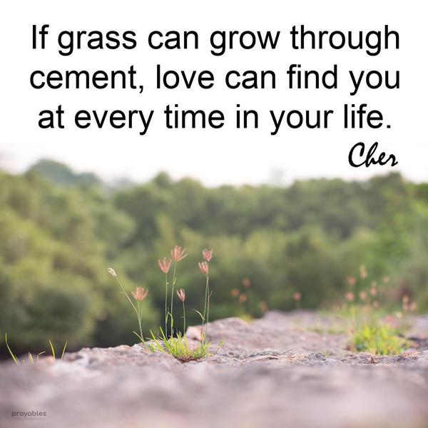 If grass can grow through cement, love can find you at every time in your life. Cher