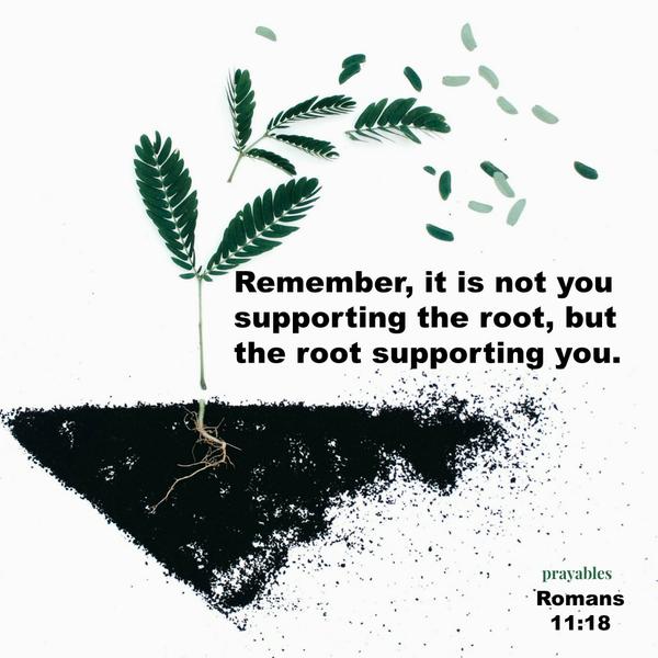 Romans 11:18 Remember, it is not you supporting the root, but the roots supporting you.