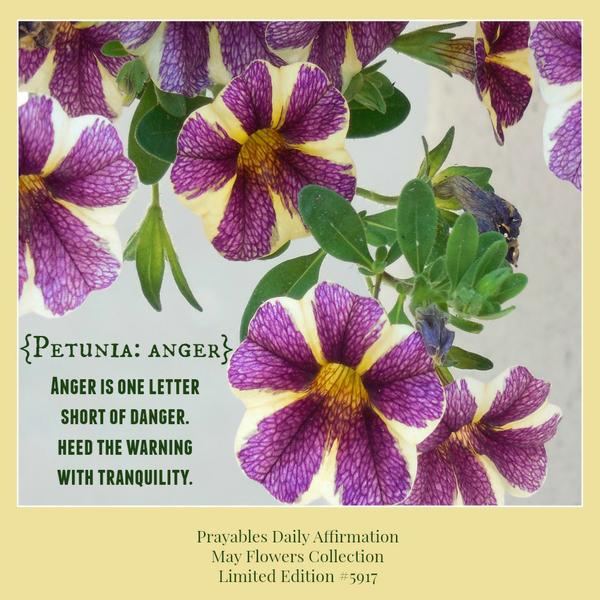 Anger is one letter short of danger