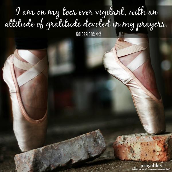 Colossians 4:2 I am on my toes ever vigilant, with an attitude of gratitude devoted in my prayers.